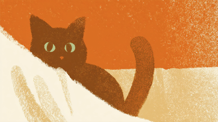 JPG 동물 디자인 시선 감정 예술 컬러 백그라운드 일러스트 털 생활 반려동물 소파 귀여움 고양이 편안함 호기심 숨기 국내일러스트 AI일러스트 AI콘텐츠 컨셉 의자 포유류 모션 감각 파일형식