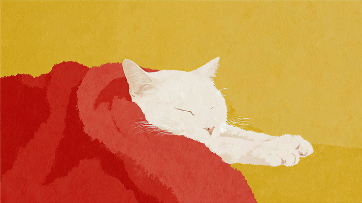 JPG 동물 예술 일러스트 실내 따뜻함 평화 귀여움 고양이 흰색 잠 수면 편안함 조용 색감 국내일러스트 AI일러스트 AI콘텐츠 컬러 컨셉 포유류 내부 물 반려동물 감각 파일형식