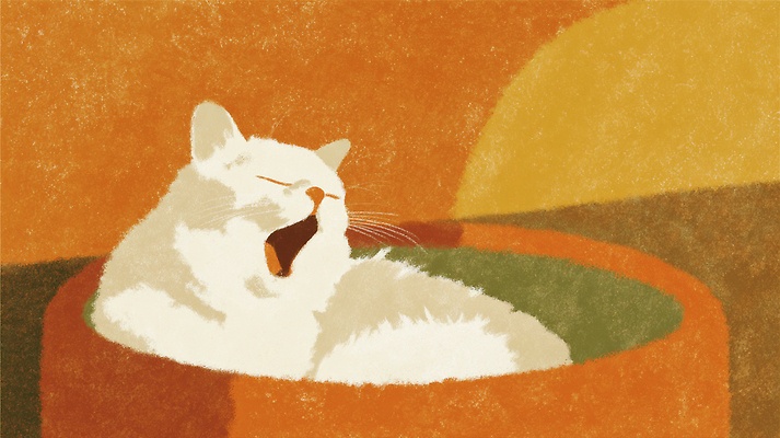 JPG 동물 캐릭터 컬러 일러스트 휴식 일상 평화 귀여움 고양이 표현 둥지 편안함 그림 하품 초상화 순간 국내일러스트 AI일러스트 AI콘텐츠 컨셉 포유류 라이프 반려동물 감각 생리현상 파일형식