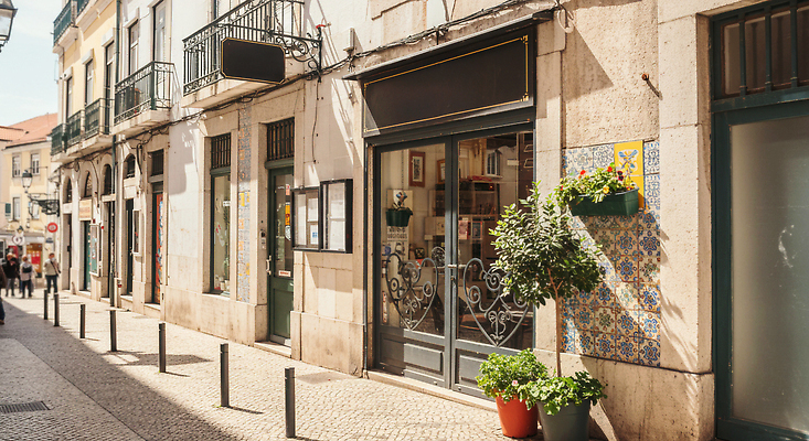 JPG 식물 편집이미지 디자인 건축 화분 문화 여행 자연 거리 건물 상점 매력적 포르투갈 조용 리스본 편집실사 AI포토 AI콘텐츠 건축물 유럽 컨셉 CG 생태계 파일형식