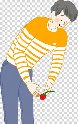 남자 감정 어린이 컬러 무늬 농업 과일 취미 신체부위 생태계 파일형식 딸기 소년 주황색 줄무늬 자연 수확 즐거움 작업 손 원예 채소 편집이미지 PNG