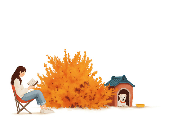 JPG 나무 동물 반려견 여유 잎 일러스트 자연 주택 사람 독서 햇빛 소풍 평화 산책 가을 개 고독 편안함 힐링 여우 국내일러스트 AI일러스트 AI콘텐츠 식물 계절 감정 컨셉 포유류 휴식 건물 반려동물 태양 야외활동 감각 생태계 파일형식