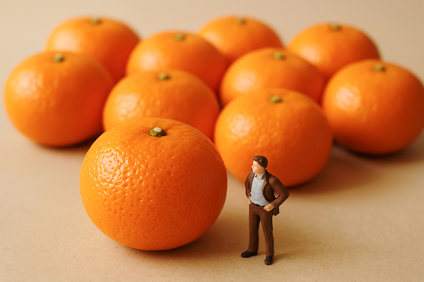 JPG 편집이미지 음식 과일 풍경 일상 미니어처 배열 오브젝트 편집실사 AI컴퓨터그래픽 AI콘텐츠 라이프 모형 CG 파일형식