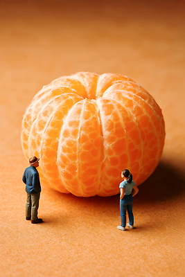 JPG 식물 편집이미지 인형 과일 탁자 귤 그림자 사람 풍경 근접촬영 일상 주황색 미니어처 관찰 신기함 편집실사 AI컴퓨터그래픽 AI콘텐츠 뷰포인트 컬러 가구 컨셉 모션 라이프 모형 CG 파일형식