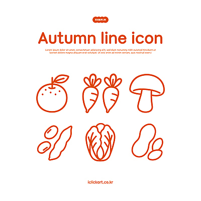 아이콘 디자인 음식 채소 식재료 귤 콩 그래픽 농작물 버섯 당근 가을 신선 라인아이콘 배추 2D아이콘 AI파일 계절 농업 과일 곡류 뿌리채소 파일형식 벡터