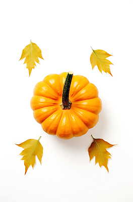 JPG 식물 편집이미지 계절 컬러 단풍 자연 생명 호박 장식 농작물 노란색 주황색 가을 배열 조화 이미지편집 AI포토 AI콘텐츠 잎 농업 채소 생태계 파일형식