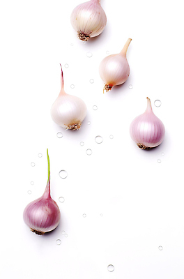 JPG 편집이미지 사계절 음식 컬러 채소 식재료 재료 자연 양파 건강 요리 식사 물방울 신선 건강식 이미지편집 AI포토 AI콘텐츠 계절 생태계 파일형식