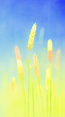 JPG 감정 물결 컬러 하늘색 농업 일러스트 자연 하늘 생명 바람 풍경 여름 농장 평화 환경 금색 성장 밀 이삭 뷰티풀 국내일러스트 AI일러스트 AI콘텐츠 자연요소 계절 산업 컨셉 날씨 곡류 파란색 생태계 파일형식