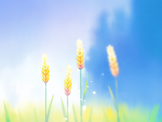 JPG 꽃 컬러 농업 일러스트 자연 하늘 생명 바람 풍경 초원 햇빛 노란색 평화 일몰 봄 원근감 신선 생태계 뷰티풀 국내일러스트 AI일러스트 AI콘텐츠 자연요소 식물 계절 산업 뷰포인트 컨셉 날씨 태양 노을 파일형식