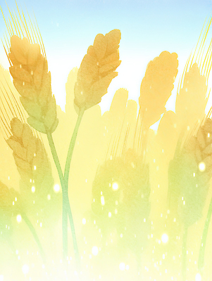 JPG 식물 여유 농업 일러스트 자연 생명 바람 따뜻함 밝음 풍경 여름 빛 농작물 햇빛 평화 희망 성장 황금 볏짚 뷰티풀 국내일러스트 AI일러스트 AI콘텐츠 자연요소 계절 감정 산업 컨셉 날씨 태양 짚 생태계 파일형식