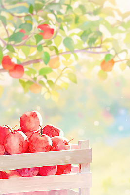 JPG 식물 계절 컬러 과일 일러스트 자연 바람 초원 여름 햇빛 농장 정원 수확 신선 사과 나무상자 과수원 사과나무 색감 국내일러스트 AI일러스트 AI콘텐츠 자연요소 나무 농업 날씨 상자 태양 생태계 파일형식