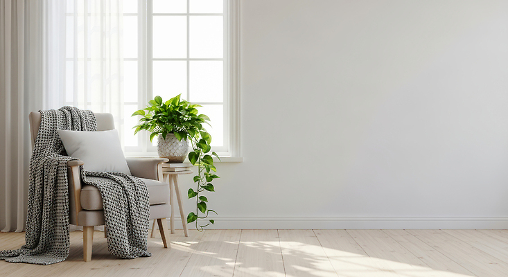 JPG 식물 편집이미지 디자인 여유 컬러 거실 의자 재료 창문 자연 인테리어 햇빛 분위기 편안함 배열 편집실사 AI포토 AI콘텐츠 감정 가구 컨셉 태양 감각 CG 생태계 파일형식