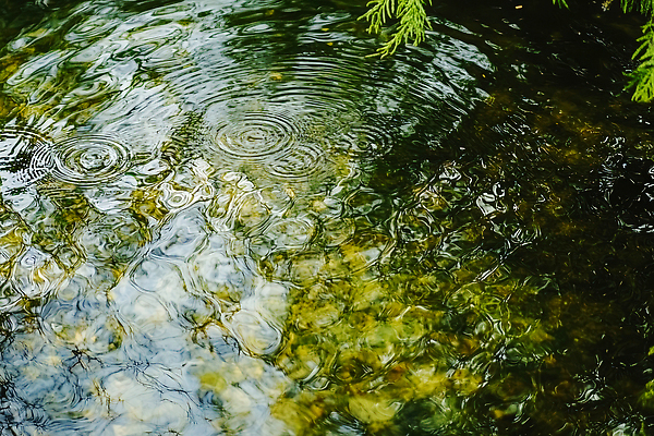 JPG 편집이미지 물결 자연 생명 나뭇잎 풍경 물 반사 소리 고요 수면 분위기 빗방울 비석 흐림 차분 편집실사 AI포토 AI콘텐츠 자연요소 컨셉 잎 날씨 비_날씨 CG 생태계 파일형식