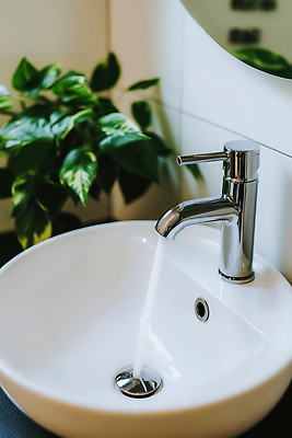 JPG 식물 편집이미지 디자인 생활 물 인테리어 환경 주방 청결 공간 흐름 욕실 세척 세면대 모던 편집실사 AI포토 AI콘텐츠 자연요소 컨셉 3 위생 CG 파일형식