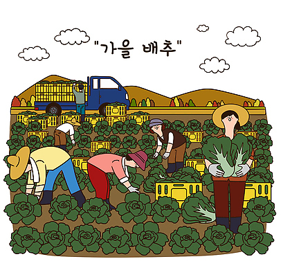 농업 채소 일러스트 자연 협력 노동자 한국 농장 농사 수확 가을 작업 제조 배추 땀 수확철 국내일러스트 AI파일 직업 계절 산업 아시아 생태계 파일형식 벡터