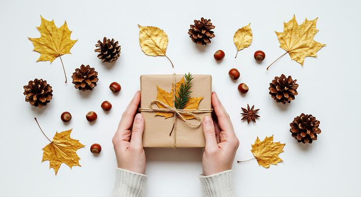 JPG 나무 편집이미지 명절 단풍 포장 가족 자연 선물 장식 친구 가을 편안함 소중 솔방울 조화 의료성형뷰티 편집실사 AI인물포토 AI콘텐츠 식물 전통 계절 기념일 컨셉 잎 관계 감각 CG 생태계 파일형식 AI포토