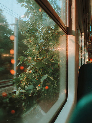 JPG 식물 편집이미지 여행 이동 자연 풍경 초록색 여름 빛 햇빛 기차 편안함 창밖 오후 편집실사 AI포토 AI콘텐츠 계절 육상교통 컬러 컨셉 창문 대중교통 태양 감각 CG 생태계 파일형식