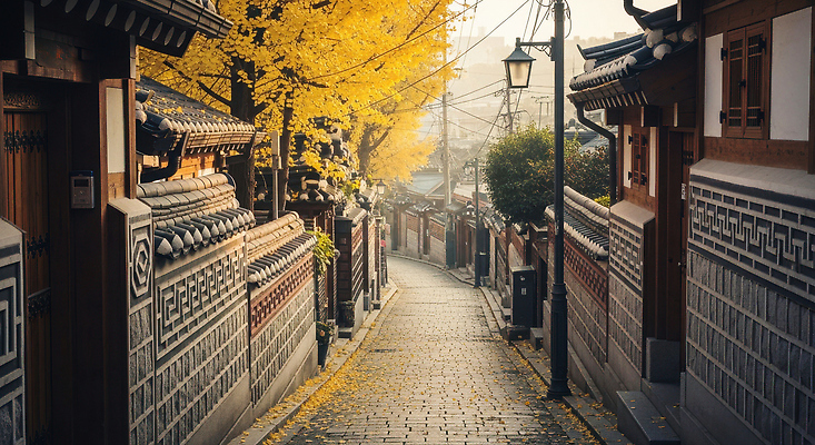 JPG 편집이미지 전통 문화 여행 자연 아침 한옥 서울 한국 풍경 가을 역사 골목길 은행나무 고택 편집실사 AI포토 AI콘텐츠 주간 나무 한국전통 건축물 계절 아시아 길 고건축 CG 생태계 파일형식