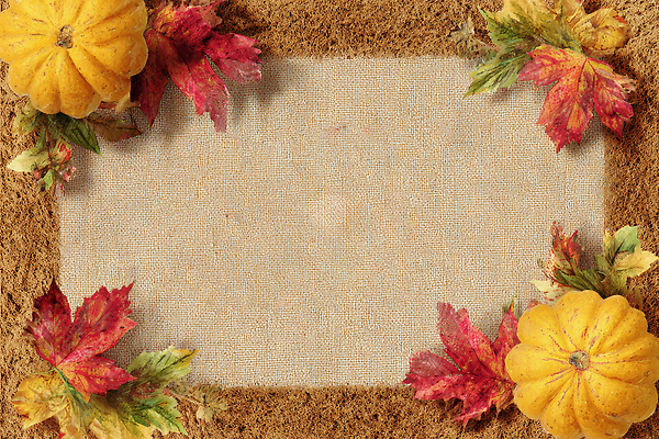 JPG 편집이미지 전통 사계절 단풍 자연 호박 따뜻함 이벤트 장식 농작물 축제 가을 천 뷰티풀 색감 이미지편집 AI포토 AI콘텐츠 계절 잎 농업 채소 직물 생태계 파일형식