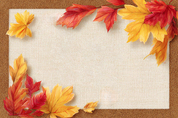 JPG 편집이미지 계절 컬러 백그라운드 단풍 잎 자연 풍경 장식 빨간색 노란색 가을 천 질감 조화 뷰티풀 이미지편집 AI포토 AI콘텐츠 식물 직물 생태계 파일형식