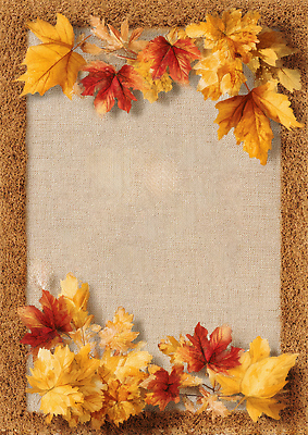 JPG 나무 편집이미지 디자인 계절 컬러 백그라운드 단풍 잎 자연 따뜻함 장식 노란색 주황색 가을 편안함 이미지편집 AI포토 AI콘텐츠 식물 감각 생태계 파일형식