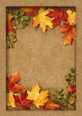 JPG 식물 편집이미지 계절 백그라운드 자연 나뭇잎 풍경 장식 가을 테두리 그림 부드러움 조화 뷰티풀 색감 이미지편집 AI포토 AI콘텐츠 잎 감각 생태계 파일형식