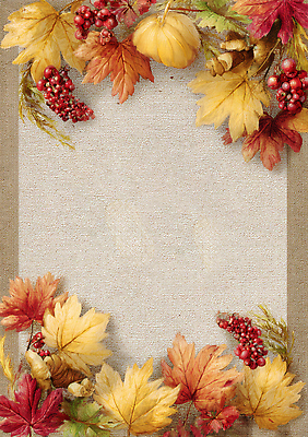 JPG 식물 편집이미지 디자인 열매 꽃 컬러 백그라운드 잎 자연 따뜻함 풍경 그래픽 장식 금색 가을 뷰티풀 이미지편집 AI포토 AI콘텐츠 계절 생태계 파일형식