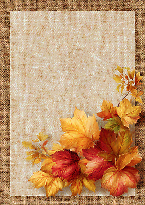 JPG 편집이미지 디자인 예술 백그라운드 잎 자연 따뜻함 풍경 장식 노란색 주황색 가을 조화 뷰티풀 색감 이미지편집 AI포토 AI콘텐츠 식물 계절 컬러 생태계 파일형식