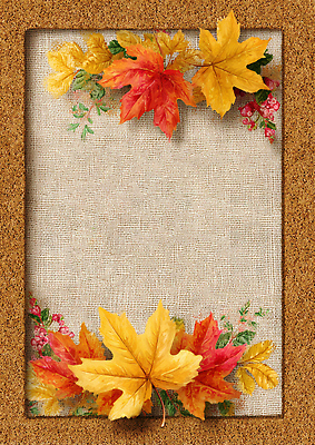 JPG 편집이미지 컬러 자연 나뭇잎 따뜻함 장식 전시 가을 보드 만들기 화합 코르크 뷰티풀 이미지편집 AI포토 AI콘텐츠 계절 스포츠 잎 모션 생태계 파일형식