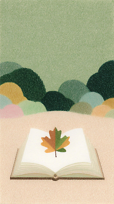 JPG 식물 단풍 일러스트 자연 휴식 나뭇잎 한국 풍경 야외 책 독서 평화 가을 심플 조용 뷰티풀 색감 국내일러스트 AI일러스트 AI콘텐츠 계절 아시아 컨셉 잎 생태계 파일형식
