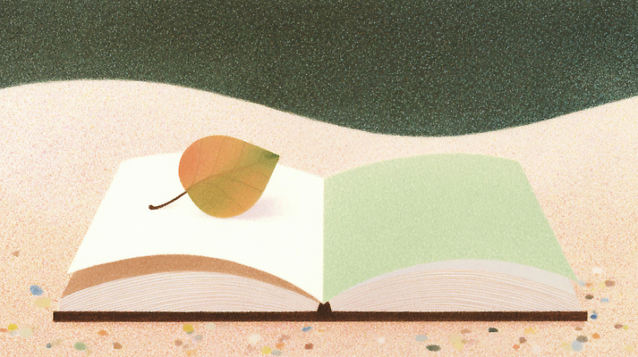 JPG 식물 여유 컬러 백그라운드 잎 일러스트 자연 휴식 나뭇잎 이야기 책 독서 평화 환경 오픈 부드러움 감성 소음 조화 순간 국내일러스트 AI일러스트 AI콘텐츠 감정 컨셉 소리 감각 생태계 파일형식