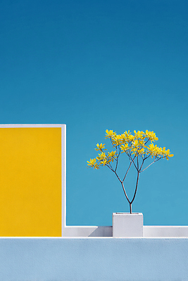 JPG 식물 편집이미지 디자인 꽃 예술 벽 백그라운드 자연 인테리어 조화 색감 이미지편집 AI컴퓨터그래픽 AI콘텐츠 생태계 파일형식