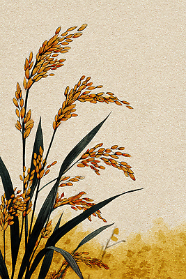 JPG 식물 편집이미지 예술 컬러 백그라운드 자연 바람 풍경 농작물 수확 가을 황금 뷰티풀 접착풀 풍요 이미지편집 AI컴퓨터그래픽 AI콘텐츠 자연요소 계절 컨셉 농업 날씨 문구용품 풀_접착제 생태계 파일형식