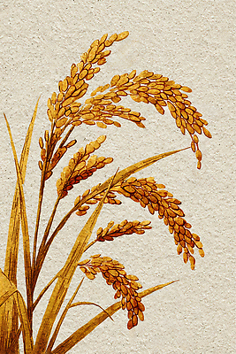 JPG 편집이미지 꽃 예술 자연 생명 풍경 농작물 농사 수확 벼 가을 농촌 황금 뷰티풀 이미지편집 AI컴퓨터그래픽 AI콘텐츠 식물 계절 농업 곡류 시골 생태계 파일형식