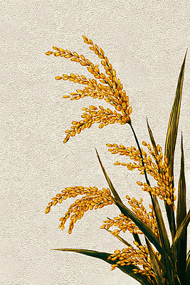 JPG 식물 편집이미지 농업 자연 바람 농작물 햇빛 금색 수확 벼 가을 시골 땅 이삭 풍요 이미지편집 AI컴퓨터그래픽 AI콘텐츠 자연요소 계절 산업 컬러 컨셉 날씨 곡류 태양 생태계 파일형식