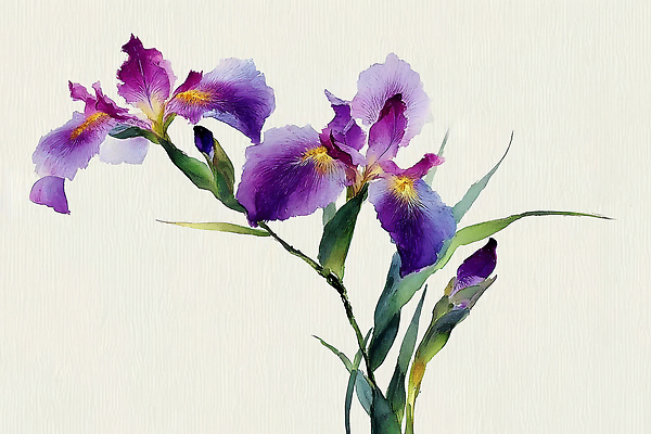 JPG 식물 디자인 꽃 예술 컬러 꽃다발 잎 일러스트 자연 수채화 햇빛 환경 정원 보라색 붓꽃 뷰티풀 국내일러스트 AI일러스트 AI콘텐츠 태양 생태계 파일형식