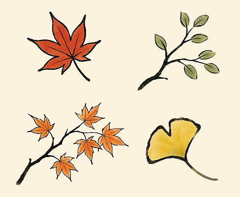 PSD 식물 편집이미지 디자인 계절 예술 컬러 단풍 자연 나뭇잎 빨간색 노란색 추석 가을 뷰티풀 이미지편집 명절 잎 생태계 파일형식