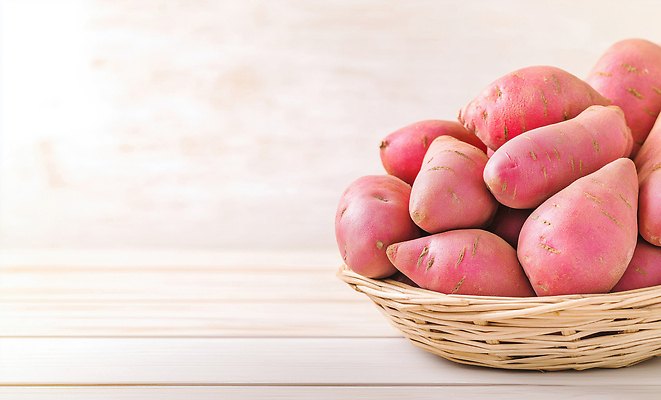JPG 편집이미지 음식 컬러 재료 자연 탁자 디저트 한국 요리 농작물 바구니 신선 맛 크기 고구마 건강식 편집실사 AI포토 AI콘텐츠 아시아 가구 컨셉 농업 뿌리채소 CG 생태계 파일형식