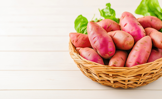 JPG 편집이미지 채소 요리 농작물 바구니 과자 식사 신선 유기농 고구마 건강식 맛있는 편집실사 AI포토 AI콘텐츠 웰빙 음식 농업 디저트 뿌리채소 CG 파일형식