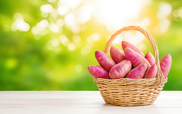 JPG 편집이미지 음식 컬러 백그라운드 채소 자연 건강 여름 농작물 햇빛 바구니 수확 신선 맛 고구마 편집실사 AI포토 AI콘텐츠 계절 컨셉 농업 뿌리채소 태양 CG 생태계 파일형식