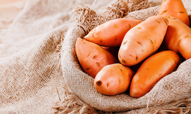 JPG 편집이미지 음식 채소 식재료 재료 자연 따뜻함 건강 요리 농작물 바구니 신선 천 질감 고구마 색감 편집실사 AI포토 AI콘텐츠 농업 뿌리채소 직물 CG 생태계 파일형식