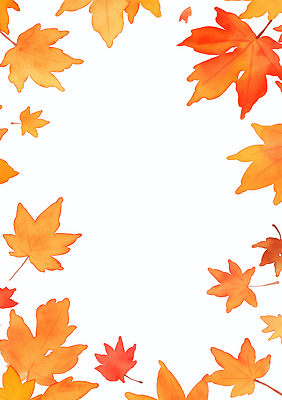 JPG 나무 디자인 계절 예술 상징 컬러 백그라운드 단풍 낙엽 잎 일러스트 자연 생명 풍경 맑음 가을 변화 화사함 조화 뷰티풀 국내일러스트 AI일러스트 AI콘텐츠 식물 컨셉 날씨 생태계 파일형식