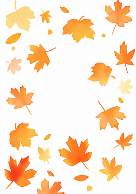 JPG 식물 디자인 계절 예술 컬러 백그라운드 단풍 잎 일러스트 자연 풍경 장식 노란색 환경 주황색 가을 원형 흰배경 뷰티풀 국내일러스트 AI일러스트 AI콘텐츠 도형 흰색 생태계 파일형식