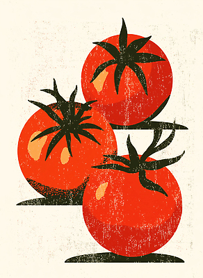 JPG 식물 컬러 토마토 채소 일러스트 재료 자연 건강 요리 빨간색 농작물 수확 성장 신선 그림 유기농 비타민 신선도 맛있는 국내일러스트 AI일러스트 AI콘텐츠 영양군 웰빙 농업 경상북도 생태계 영양소 파일형식