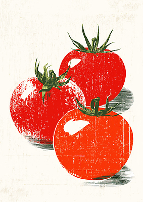 JPG 음식 줄기 토마토 채소 일러스트 자연 건강 요리 빨간색 여름 농작물 농장 농사 식사 수확 신선 유기농 비타민 국내일러스트 AI일러스트 AI콘텐츠 영양군 식물 웰빙 계절 컬러 농업 경상북도 생태계 영양소 파일형식