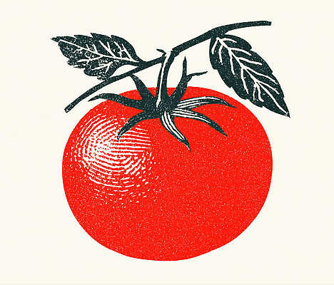 JPG 식물 잎 토마토 채소 일러스트 자연 건강 요리 빨간색 농작물 정원 식사 수확 신선 유기농 비건 국내일러스트 AI일러스트 AI콘텐츠 영양군 웰빙 컬러 농업 경상북도 생태계 채식주의자 파일형식