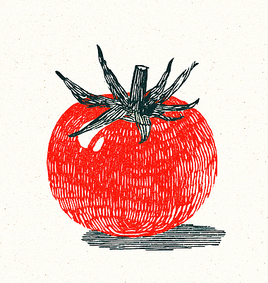 JPG 식물 전통 토마토 채소 과일 일러스트 자연 건강 요리 여름 농작물 정원 농사 신선 유기농 비타민 색감 영양소 국내일러스트 AI일러스트 AI콘텐츠 웰빙 계절 농업 생태계 파일형식