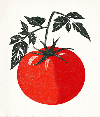 JPG 식물 음식 잎 농업 토마토 채소 일러스트 자연 건강 요리 빨간색 초록색 농장 농사 샐러드 수확 신선 소비 유기농 원예 비타민 국내일러스트 AI일러스트 AI콘텐츠 웰빙 산업 컬러 취미 생태계 영양소 파일형식