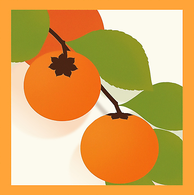 PSD 식물 디자인 예술 컬러 백그라운드 잎 과일 일러스트 자연 생명 원형 조화 뷰티풀 생동감 창의력 국내일러스트 도형 생태계 파일형식