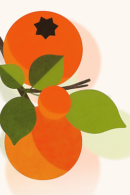 PSD 식물 잎 과일 일러스트 자연 건강 풍경 여름 농장 식사 나뭇가지 신선 조화 밝은색 비타민C 색감 정물화 아기자기 국내일러스트 나무 계절 컨셉 농업 그림 생태계 비타민 파일형식